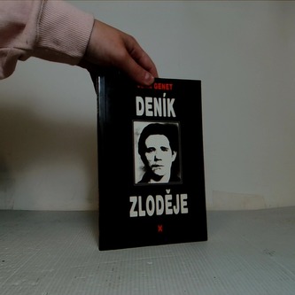 Deník zloděje