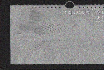 aquaristik Kalender 2024