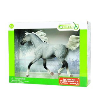 Półarabski ogier maści szaroczarnej