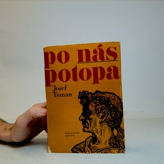 Po nás potopa