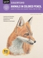 Drawing: Animals in Colored Pencil