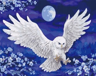 Malowanie po numerach - Nocna sowa 40x50cm