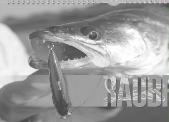 RAUBFISCH Kalender 2024