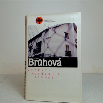 Muškáty potřebují slunce