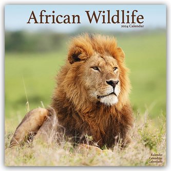 African Wildlife - Afrikanische Tierwelt 2024 - 16-Monatskalender