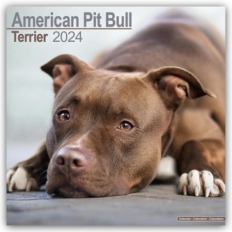 American Pit Bull Terrier 2024 - 16-Monatskalender