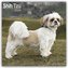Shih Tzu 2024 - 16-Monatskalender