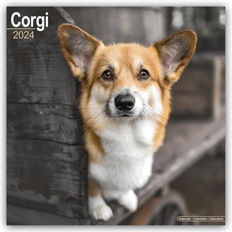 Welsh Corgi 2024 - 16-Monatskalender
