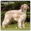 English Setter - Englisch Setter 2024 - 16-Monatskalender