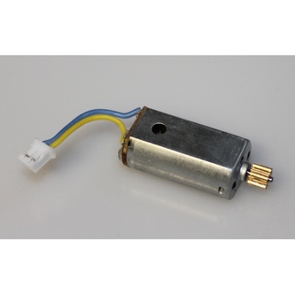 DF models Motor pro Skywatcher RACE