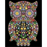 Colorvelvet Sametový obrázek Sova 50x70cm