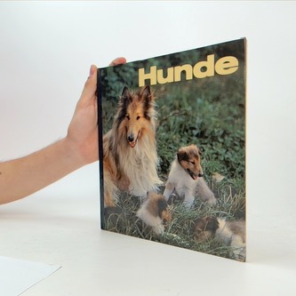 hunde
