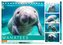 Manatees. Faszinierende Rundschwanzseekühe (Tischkalender 2024 DIN A5 quer), CALVENDO Monatskalender