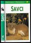 Savci