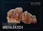 Faszination Mineralien 2024