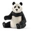 Panda wielka