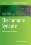 The Immune Synapse