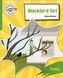 Reading Planet: Rocket Phonics - Target Practice - Blackbird Girl - Green