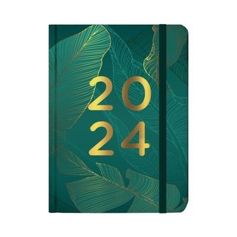 Kalendarz codzienny 2024 B6 Zielony w liście ALBI