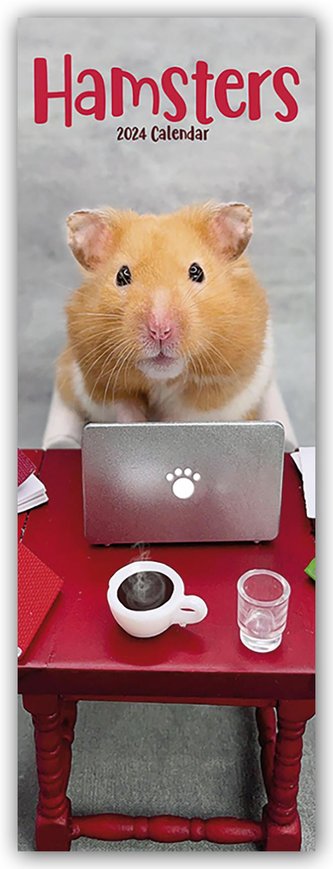 Hamsters - Hamster 2024