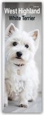 West Highland White Terrier - Westies 2024