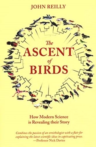 The Ascent of Birds