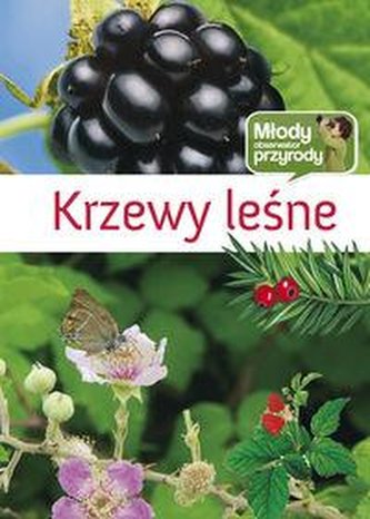 Krzewy leśne młody obserwator przyrody