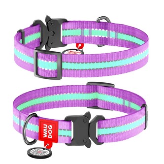 WAUDOG obojek nylonový Glow fialový Fastex QR (28-40cm/2,0cm)