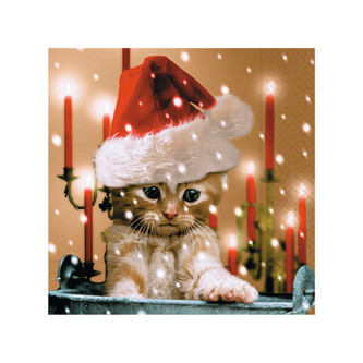 Ubrousky vánoční 25x25 cm, kotě