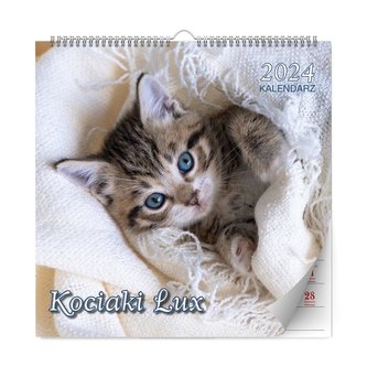 Kalendarz 2024 ścienny Lux kwadratowy Kociaki