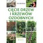 Cięcie drzew i krzewów ozdobnych
