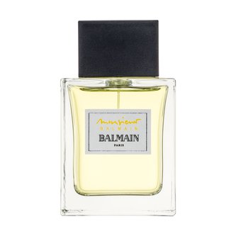 Balmain Monsieur Balmain Toaletní voda 100 ml pro muže