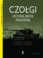 Czołgi Historia broni pancernej