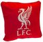 Polštář FC Liverpool: You'll Never Walk Alone (35 x 35 cm)