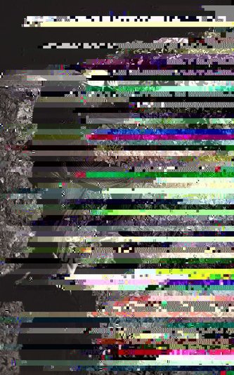 Maigret und der faule Dieb