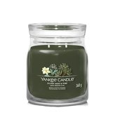 YANKEE CANDLE Silver Sage & Pine svíčka 368g /2 knoty (Signature střední)