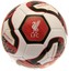 Fotbalový míč FC Liverpool: Barevný znak (velikost 5)