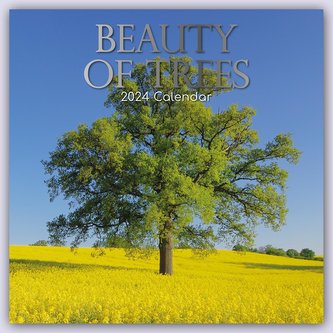 Beauty of Trees - Die Schönheit der Bäume 2024 - 16-Monatskalender
