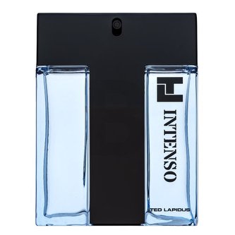 Ted Lapidus Intenso toaletní voda pro muže 100 ml