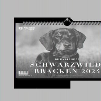 Schwarzwildbracken 2024