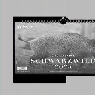 Schwarzwild 2024