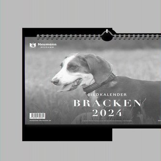 Bracken 2024