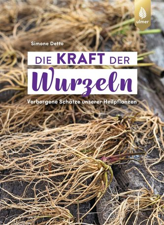 Die Kraft der Wurzeln