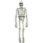 Halloweenská dekorace lidská kostra 137 cm