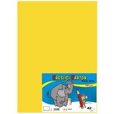 Kreslicí karton barevný A2/10/180g - žlutý
