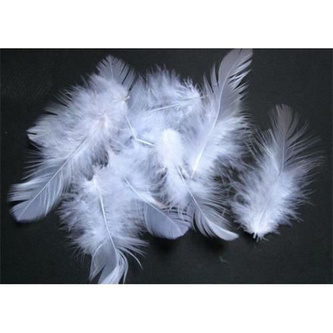 Bílá peříčka v boxu 250 ks 15 gramů