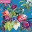 Blooms by Nel Whatmore - Nel Whatmores Blüten 2024