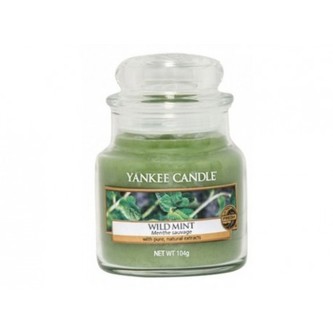 Yankee Candle Wild Mint Candle ( divoká máta ) - Vonná svíčka 104. ml unisex