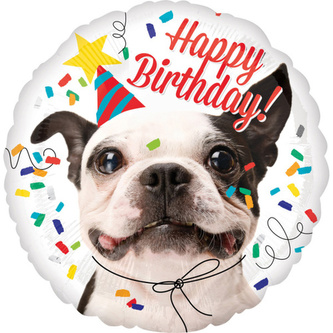 Foliový balonek - Buldoček Happy Birthday - 43 cm