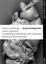 Thorax morphology and its importance...